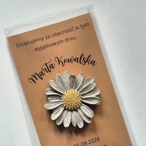 dyfuzor pasywny zapachowy w formie magnesu