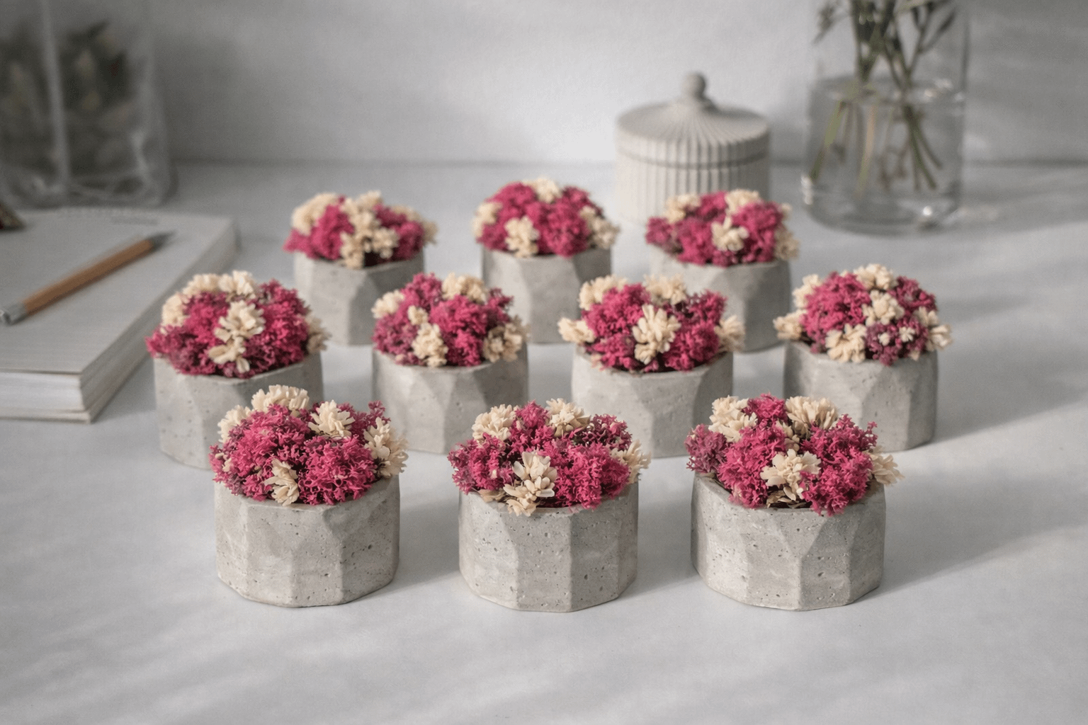 Prezentowy zestaw: Podstawka z wazonem i małą doniczką z chrobotkiem - obrazek 4