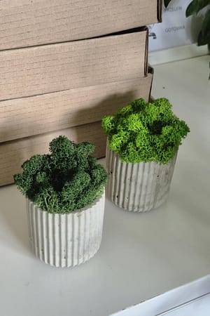 BETOkarbo LONG - doniczka z chrobotkiem