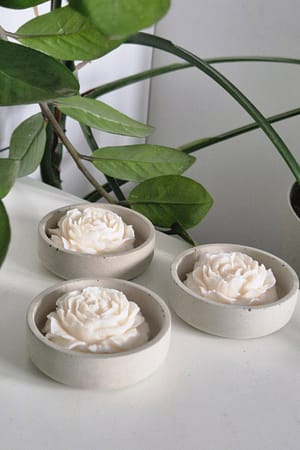 Betonowa osłonka z sojową świeczką piwonia - podziękowania dla gości