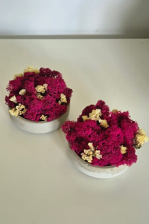 BETOmisa - betonowa doniczka z chrobotkiem magenta i kwiatkami