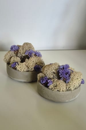 BETOmisa S - betonowa doniczka z chrobotkiem i kwiatkami