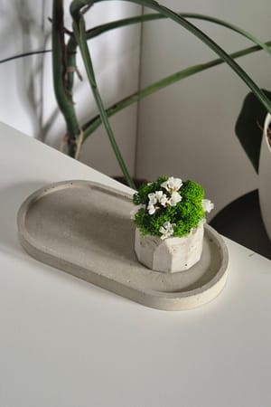 Prezentowy zestaw tacka z doniczką z chrobotkiem Urodziny/Święta