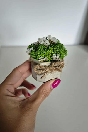 89d13312-39e9-4acc-8c06-954e561199ee