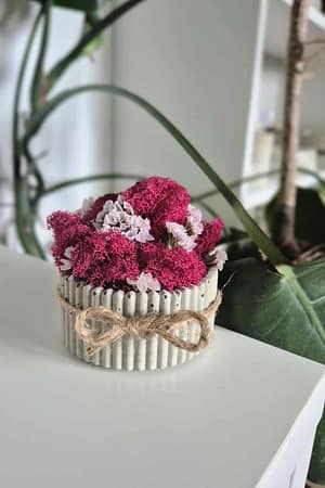 Betonowa doniczka z chrobotkiem magenta i kwiatkami zatrwianu