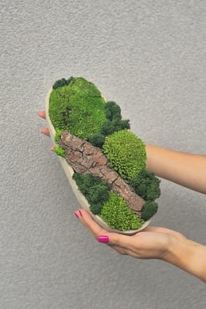 BETOłodka kompozycja