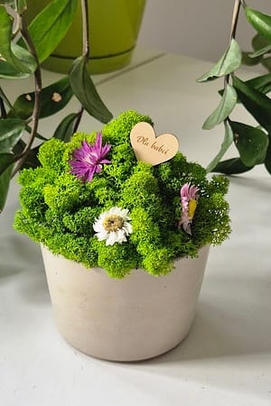 Dzień Babci i Dziadka