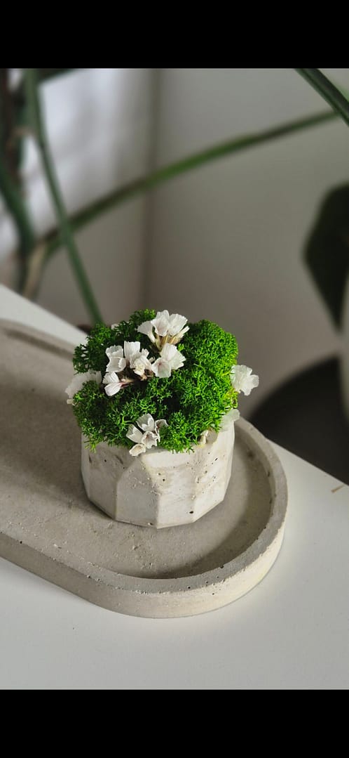 Doniczka z chrobotkiem reniferowym i kwiatkami - obrazek 6