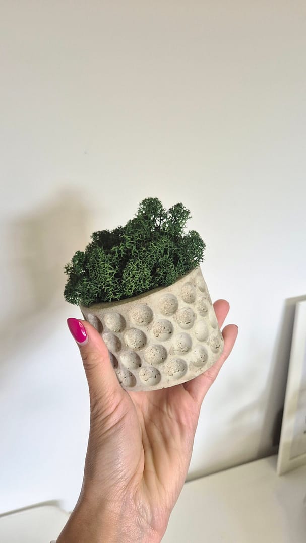 BETObubble - betonowa doniczka z chrobotkiem reniferowym - obrazek 3