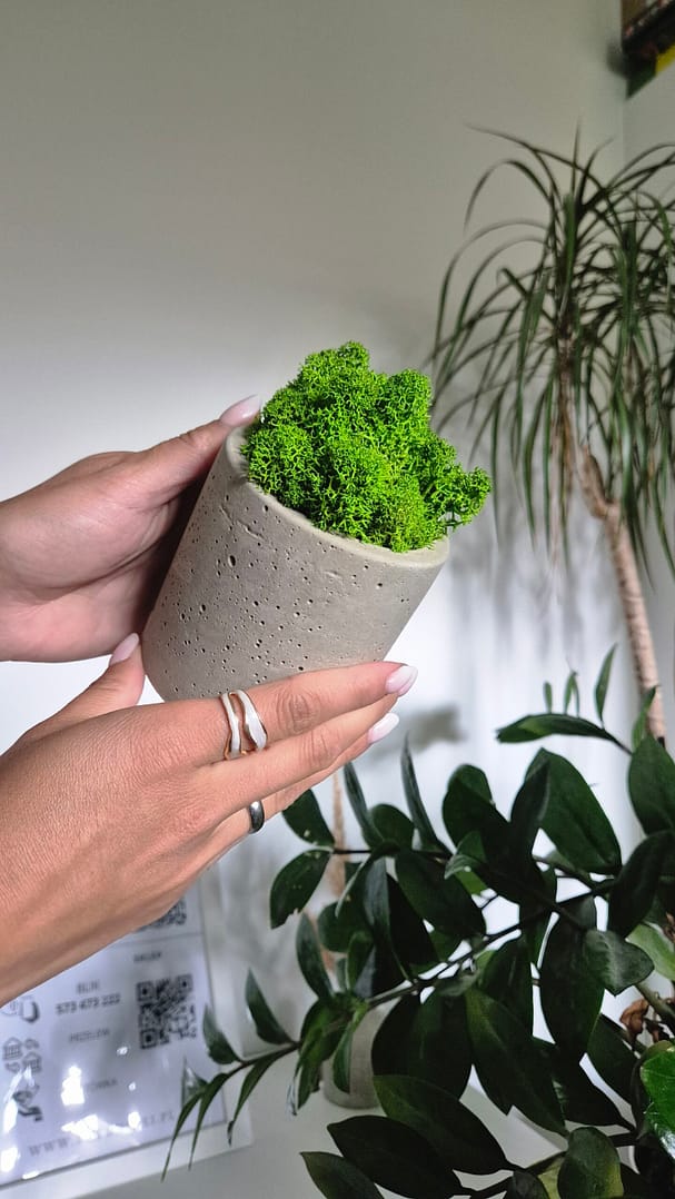 BETOtuba - betonowa doniczka z chrobotkiem reniferowym