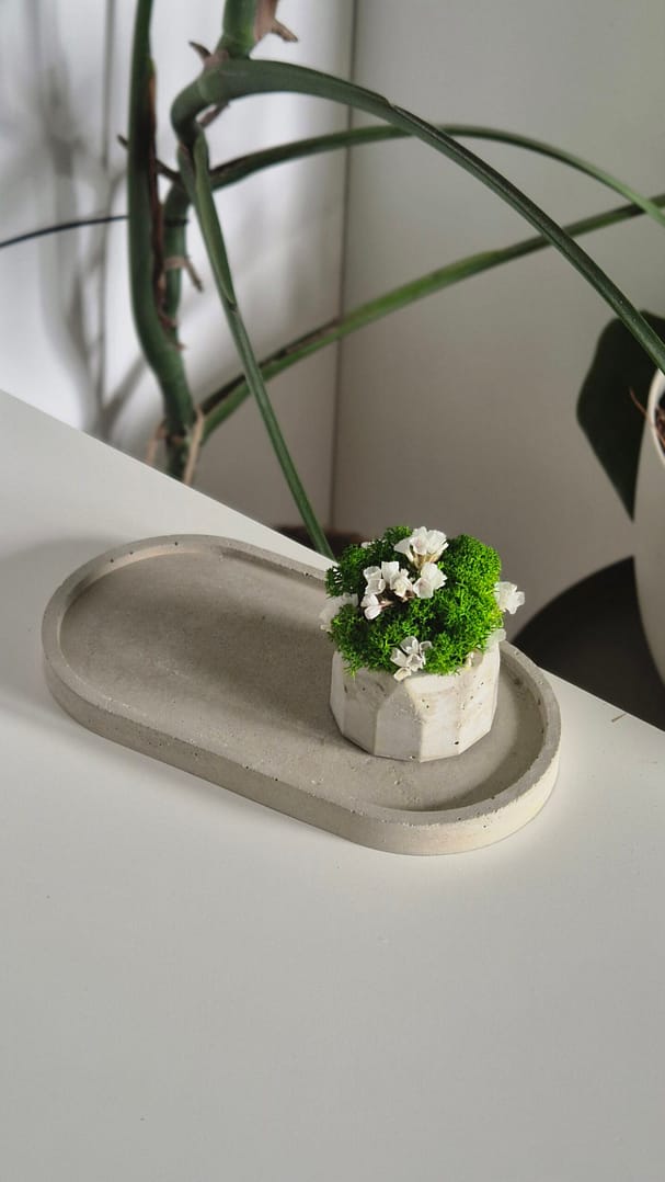 Prezentowy zestaw tacka z doniczką z chrobotkiem Urodziny/Święta