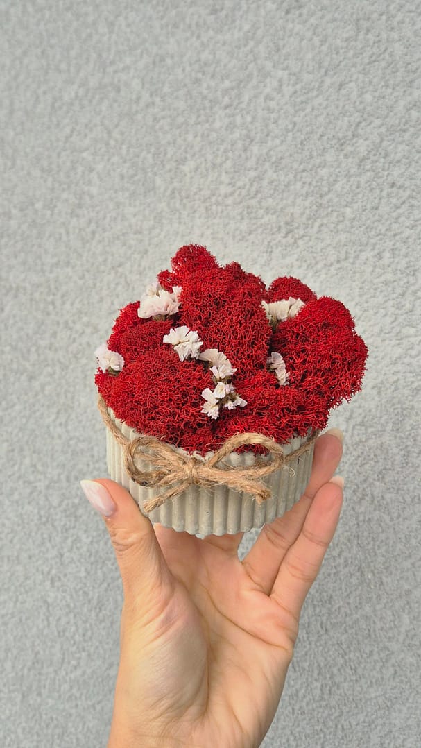 Prezentowy zestaw tacka z doniczką i wazonem - obrazek 5