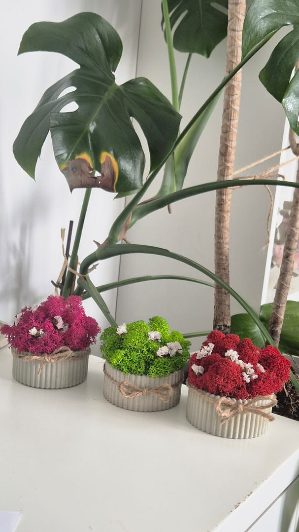 Prezentowy zestaw tacka z doniczką i wazonem - obrazek 3