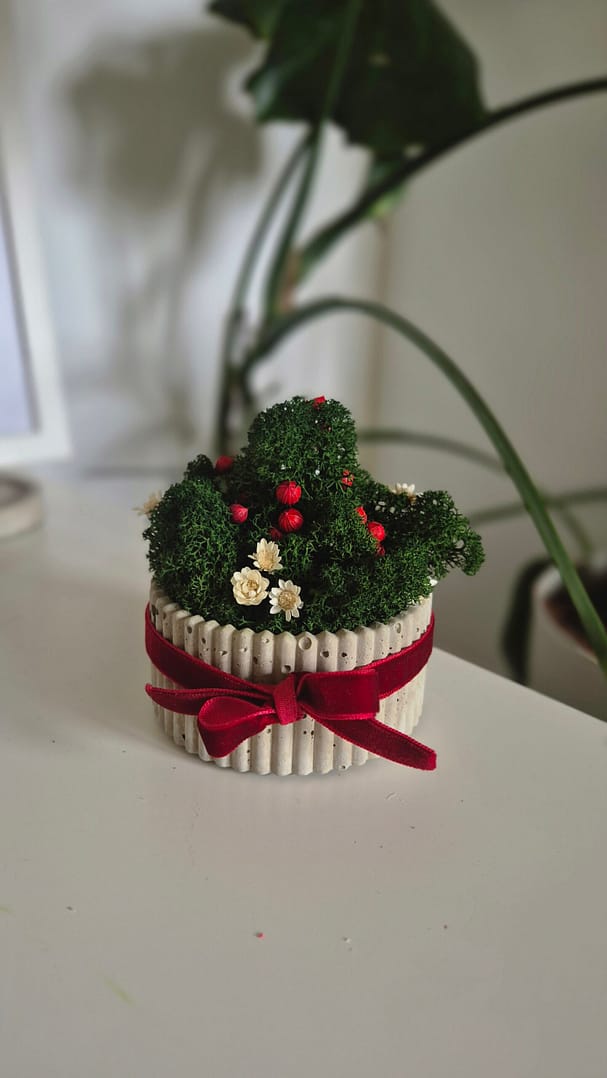 Doniczka - świąteczna kompozycja z chrobotkiem reniferowym - obrazek 2