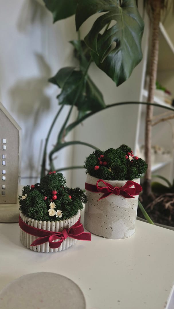 Doniczka - świąteczna kompozycja z chrobotkiem reniferowym - obrazek 4