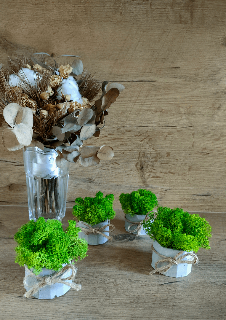 BETOwielo - betonowa doniczka z chrobotkiem reniferowym - obrazek 3