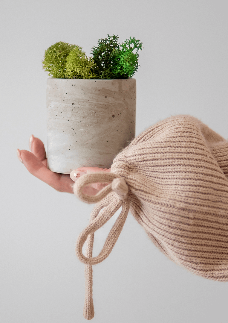 BETOtuba - betonowa doniczka z chrobotkiem reniferowym - obrazek 5