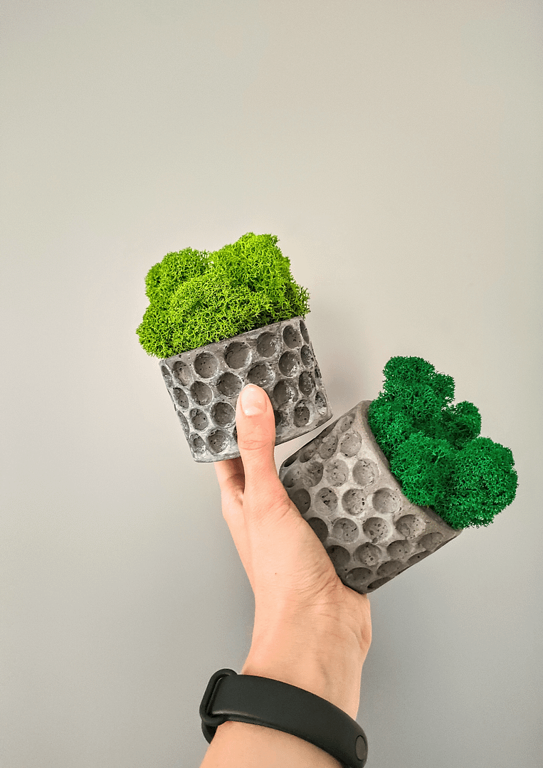 BETObubble - betonowa doniczka z chrobotkiem reniferowym - obrazek 4