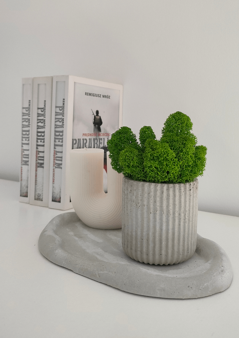 BETOkarbo LONG - doniczka z chrobotkiem - obrazek 3